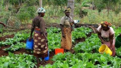 La "X Solidaria" lucha por la inserción laboral de las mujeres y de la población rural